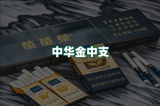 中华金中支